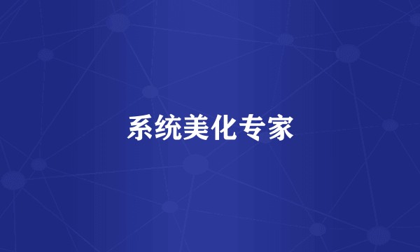 系统美化专家