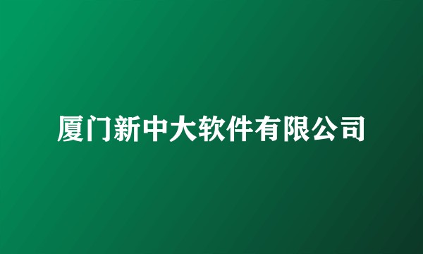 厦门新中大软件有限公司