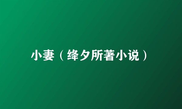 小妻(绛夕所著小说)