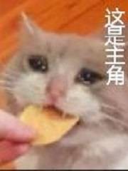 鸣佐调教日记