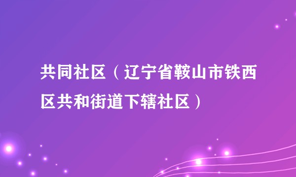 共同社区（辽宁省鞍山市铁西区共和街道下辖社区）