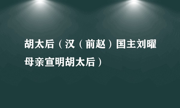 胡太后（汉（前赵）国主刘曜母亲宣明胡太后）