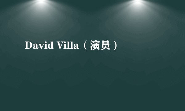David Villa（演员）