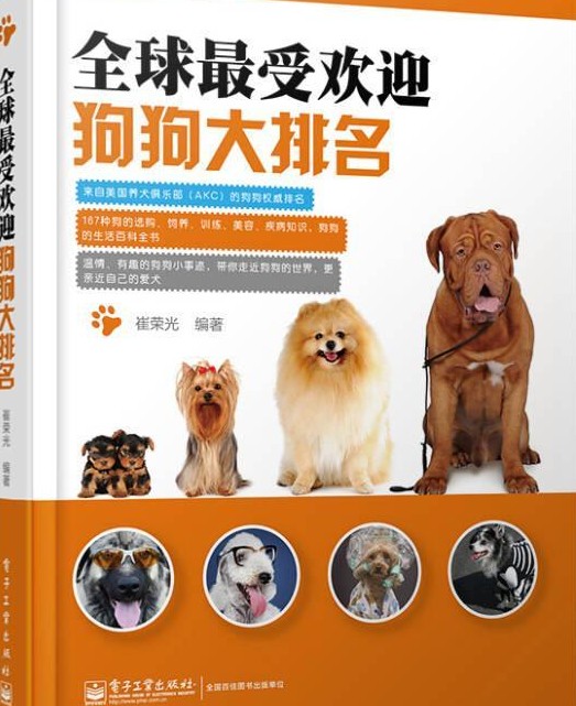 全球最受欢迎狗狗大排名