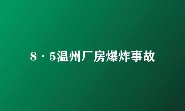 8·5温州厂房爆炸事故