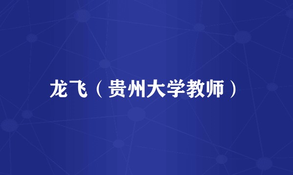 龙飞（贵州大学教师）