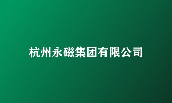 杭州永磁集团有限公司