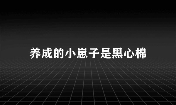 养成的小崽子是黑心棉