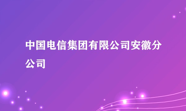 中国电信集团有限公司安徽分公司