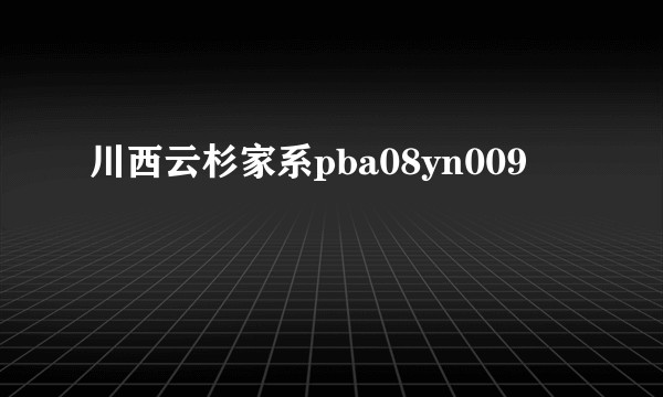 川西云杉家系pba08yn009