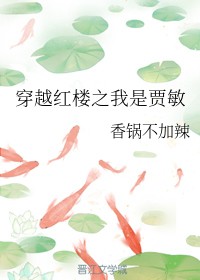 穿越红楼之我是贾敏