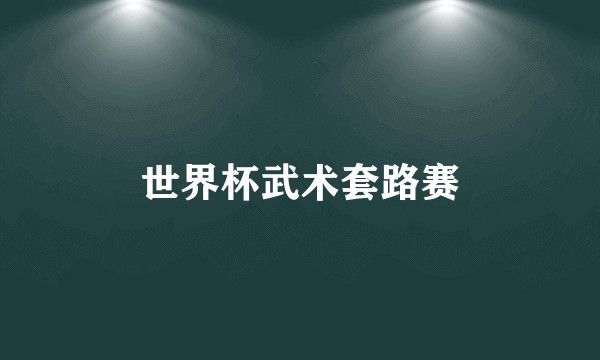 世界杯武术套路赛