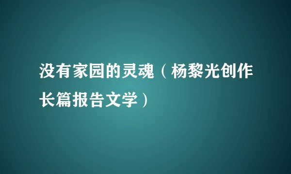 没有家园的灵魂（杨黎光创作长篇报告文学）