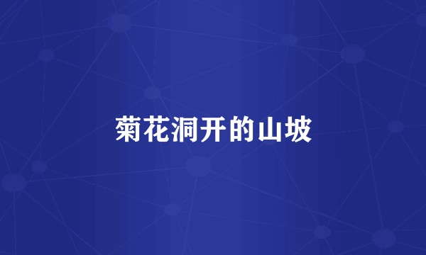 菊花洞开的山坡