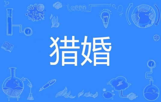 猎婚（不暖著网络小说）