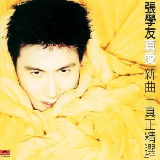 一千个伤心的理由(1995年张学友演唱歌曲)
