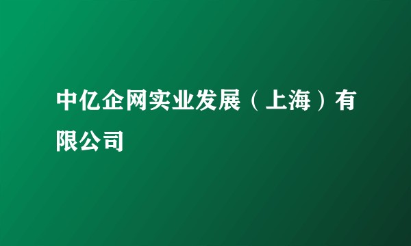 中亿企网实业发展(上海)有限公司
