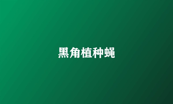 黑角植种蝇