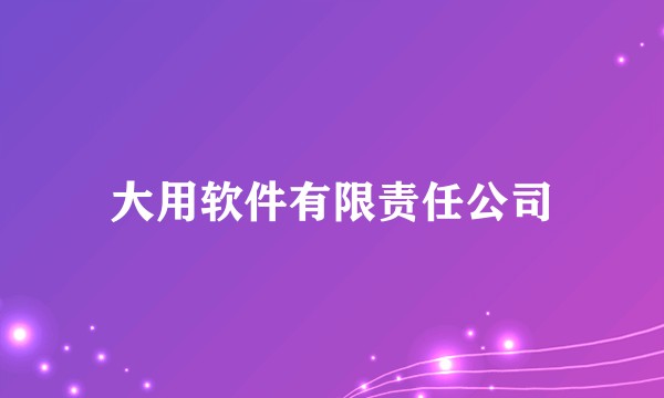 大用软件有限责任公司