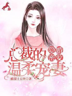 隐婚密爱:总裁的温柔宠妻