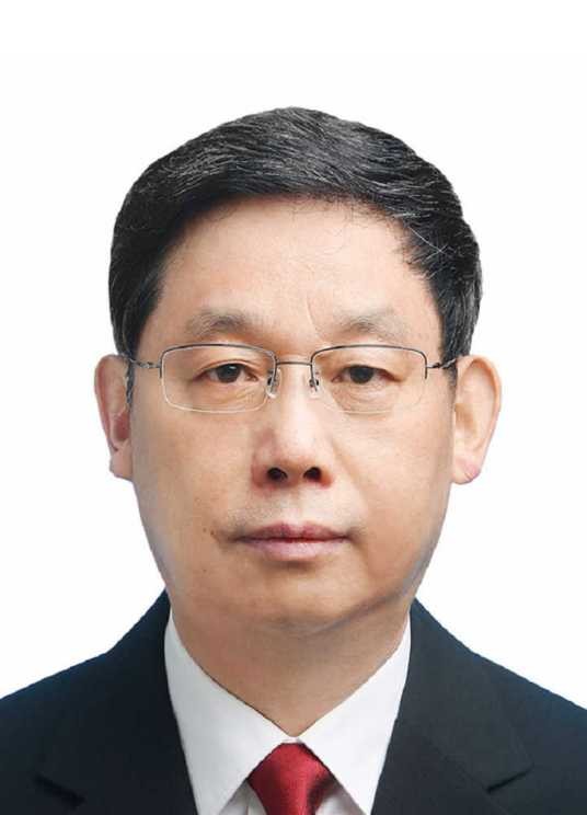 姜伟(中国法学会副会长,最高人民法院咨询委员会副主任)