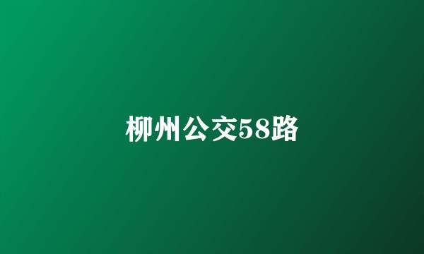 柳州公交58路