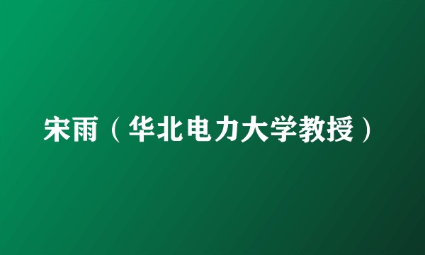 宋雨（华北电力大学教授）