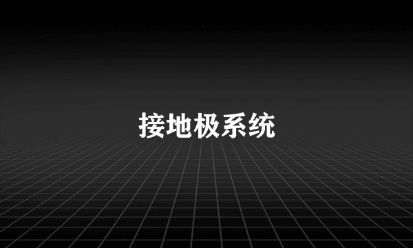 接地极系统