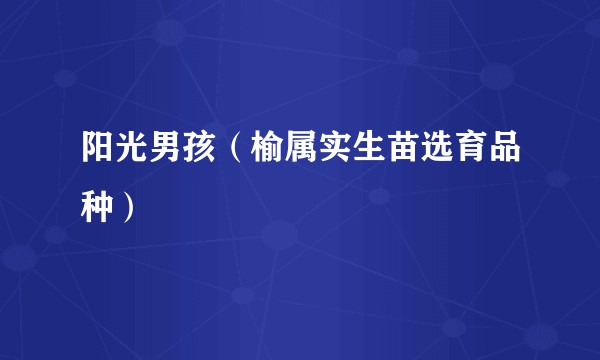 阳光男孩（榆属实生苗选育品种）