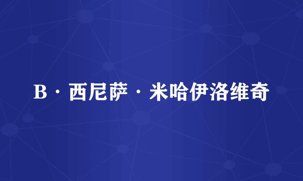 B·西尼萨·米哈伊洛维奇