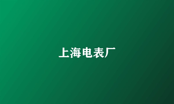 上海电表厂