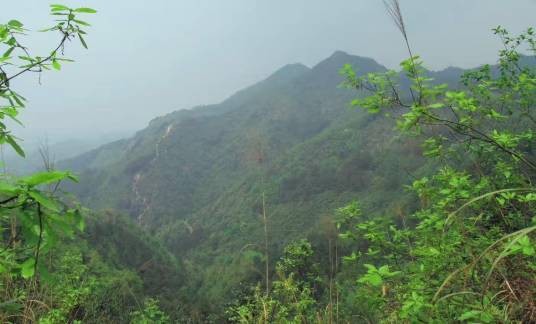 金剑山