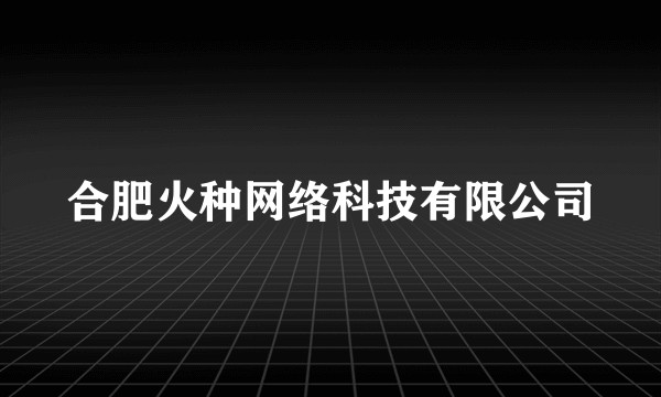 合肥火种网络科技有限公司