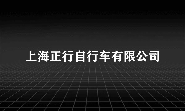 上海正行自行车有限公司