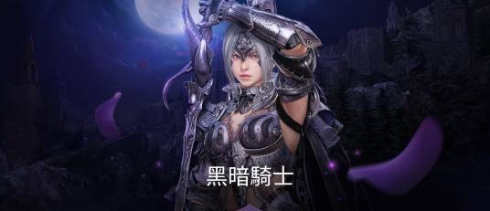 黑暗骑士(游戏《黑色沙漠》中的职业)