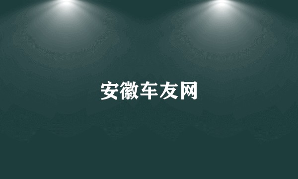 安徽车友网