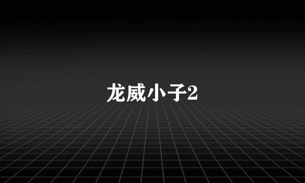 龙威小子2