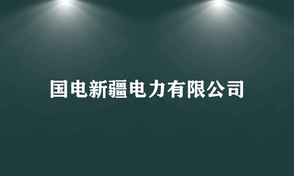 国电新疆电力有限公司
