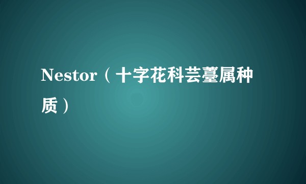 Nestor（十字花科芸薹属种质）