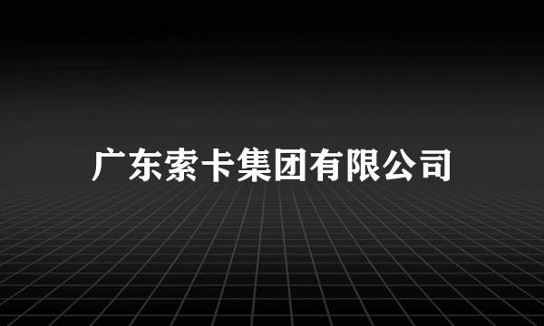 广东索卡集团有限公司