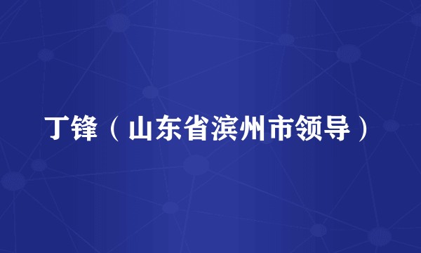 丁锋(山东省滨州市领导)