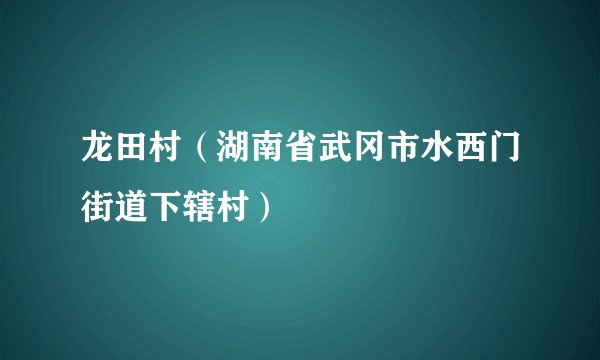 龙田村（湖南省武冈市水西门街道下辖村）