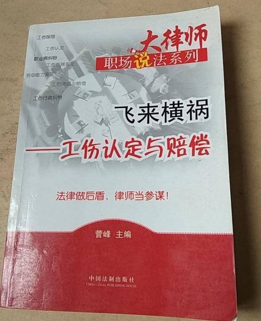 飞来横祸（2008年中国法制出版社出版的图书）