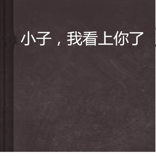 小子，我看上你了（盗版作家创作的网络小说）