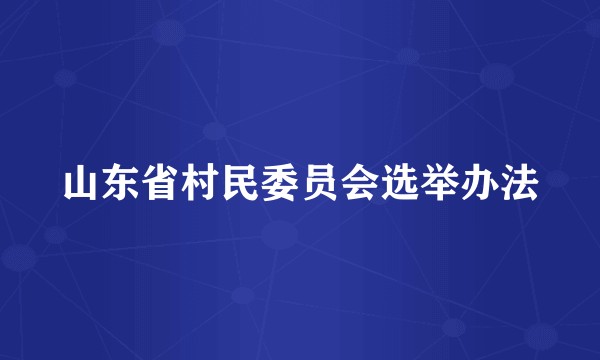 山东省村民委员会选举办法