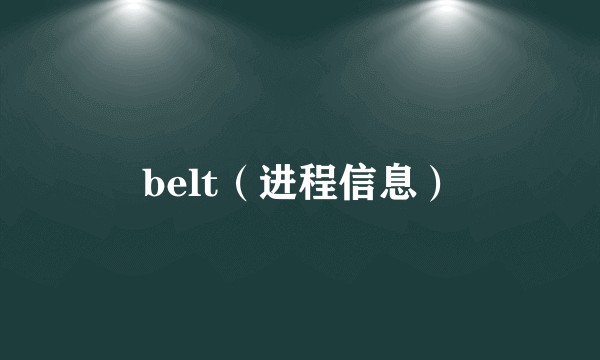 belt（进程信息）