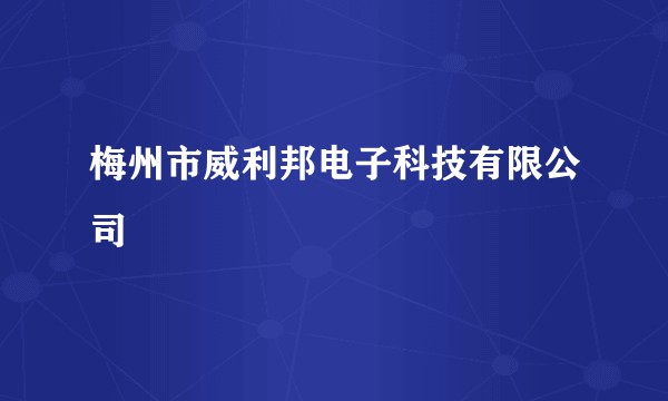 梅州市威利邦电子科技有限公司