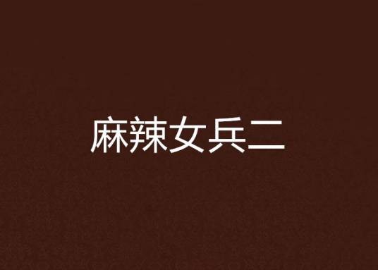 麻辣女兵二