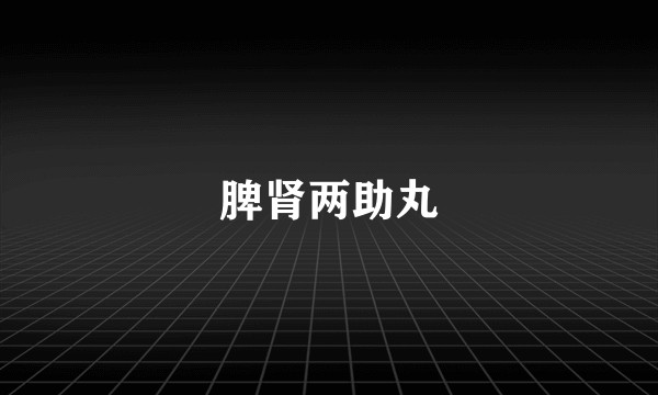 脾肾两助丸