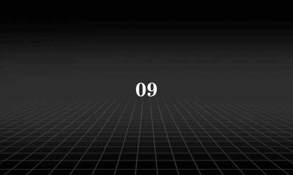09